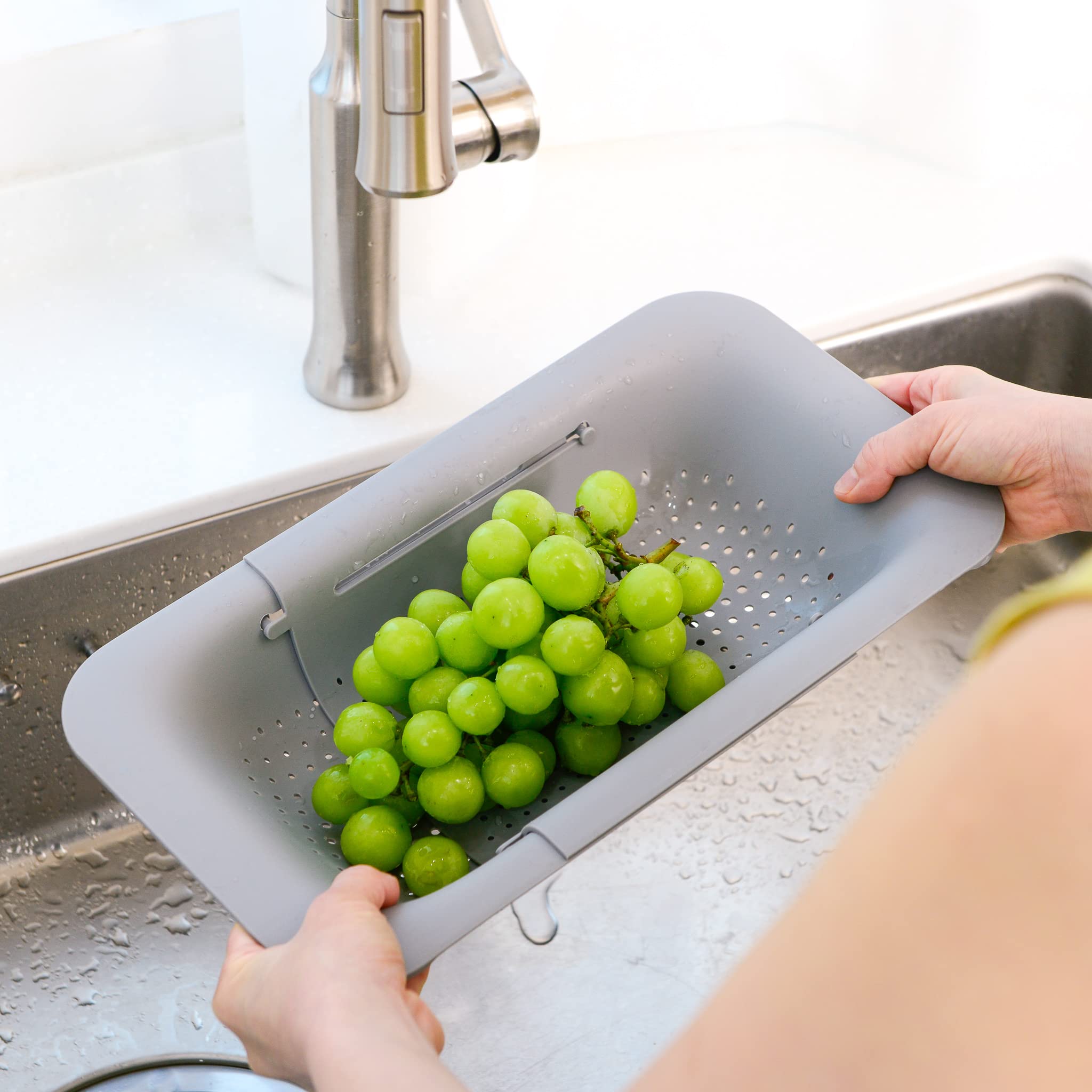 Goodinary® Retractable Sink Basket
