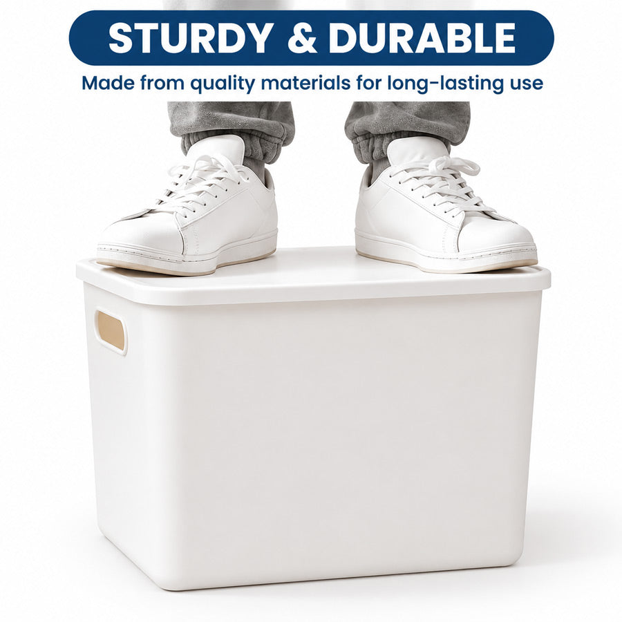 Goodinary® Storage Organizer Bin