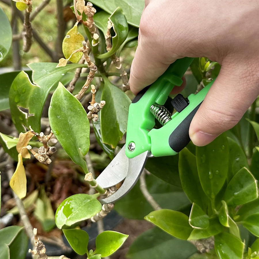 Goodinary® Pruning Shears Set