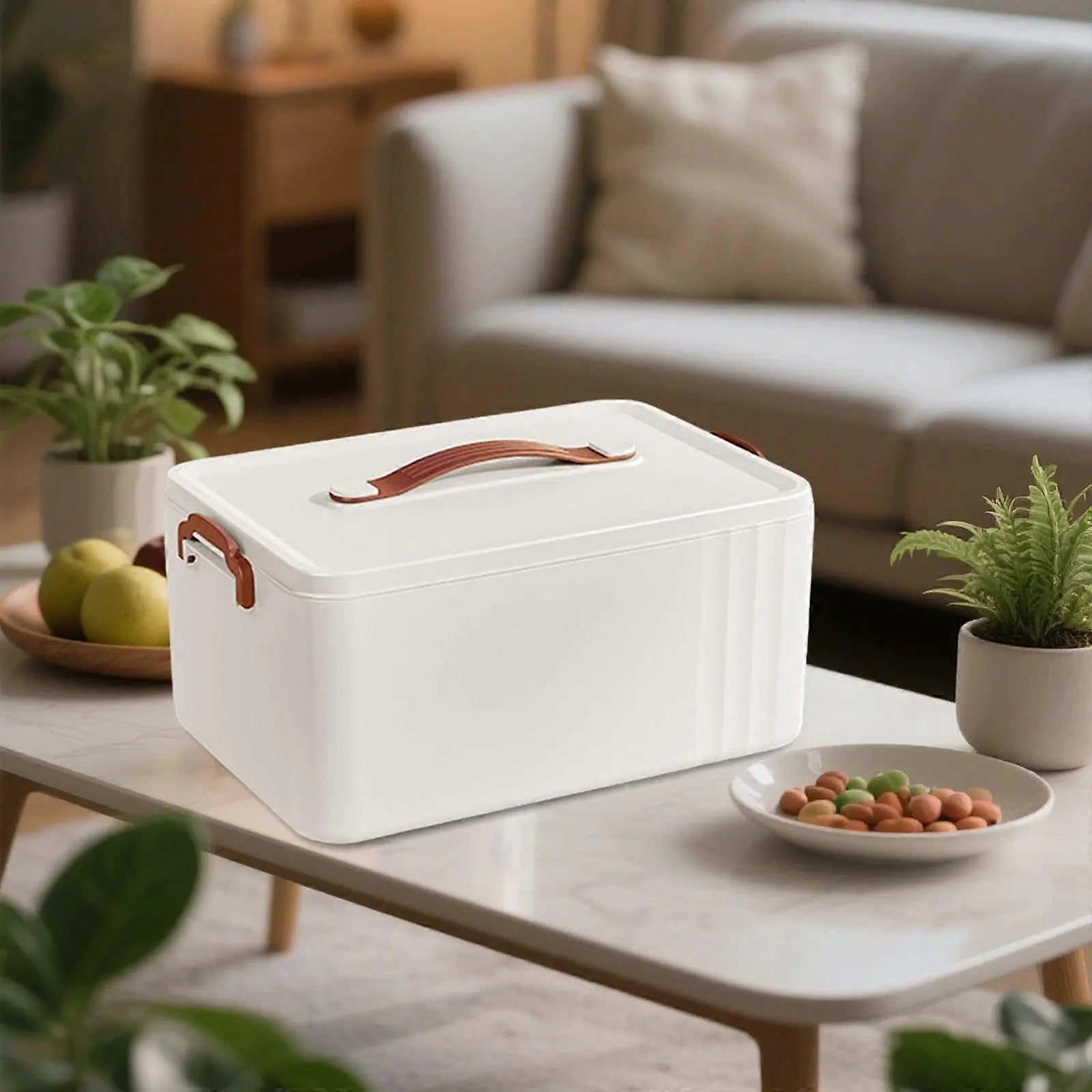 Goodinary® Medical Storage Box Goodinary