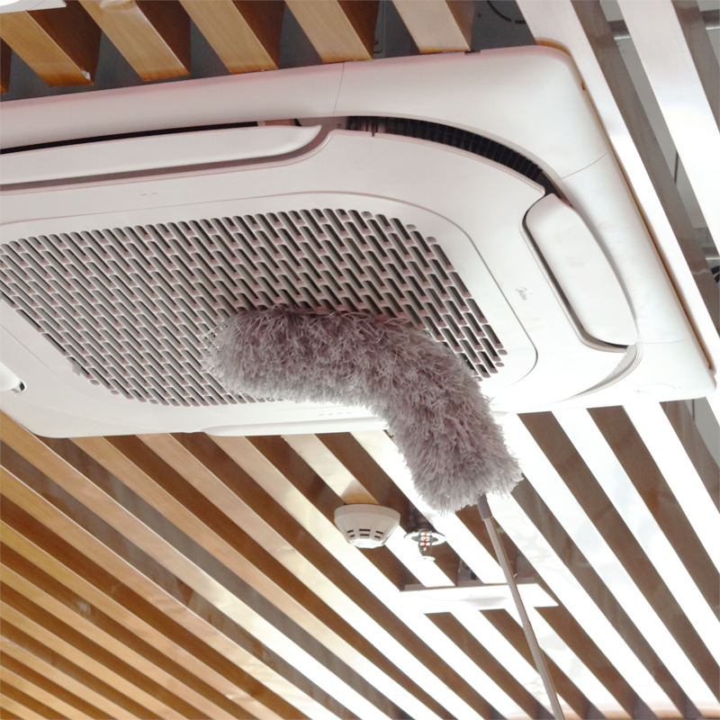 Goodinary® Extendable Dust Brush