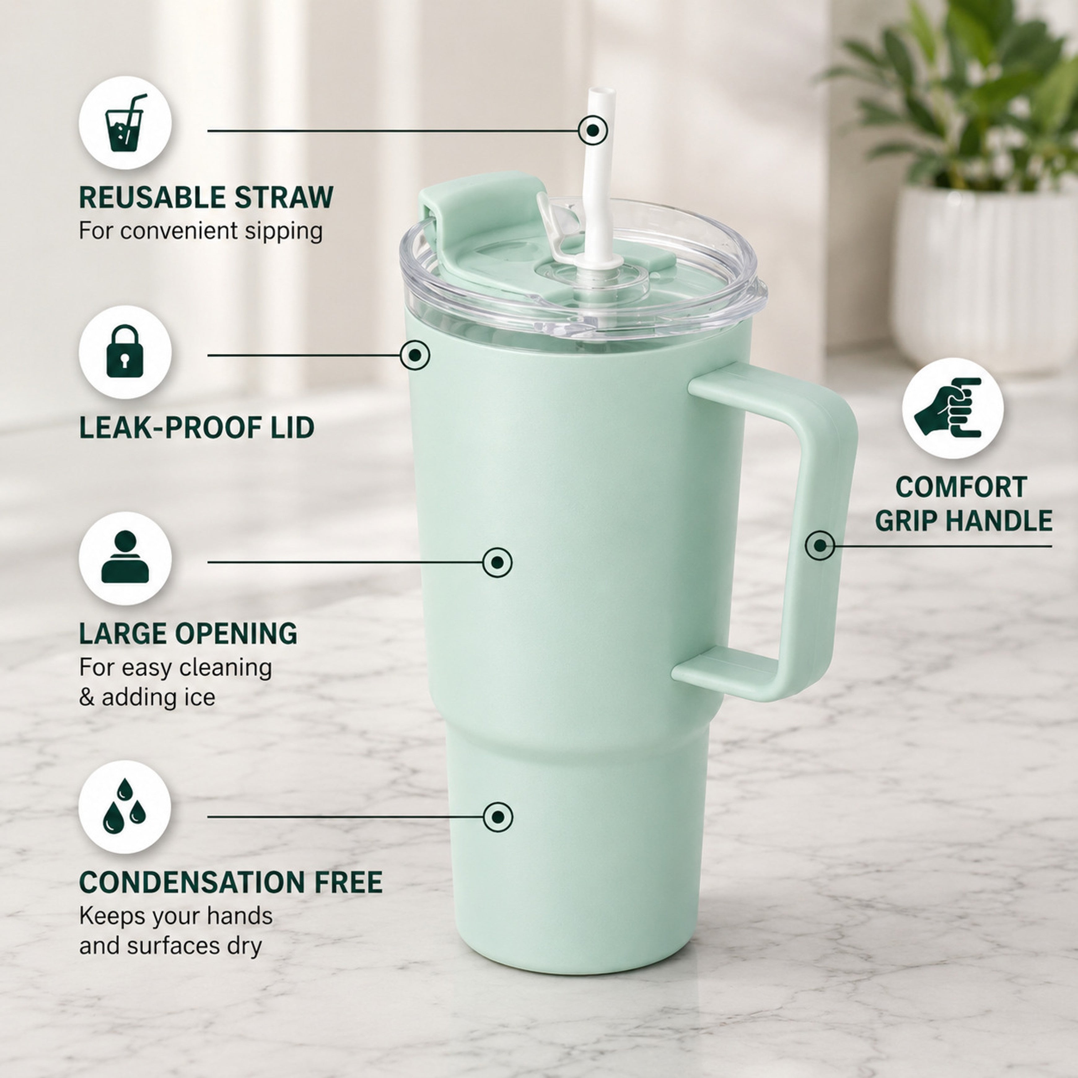 Goodinary® Tumbler with Handle & Straw