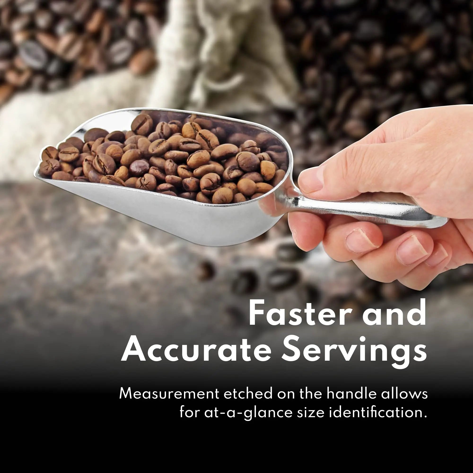 Goodinary® Stainless Steel Ice Scoop Goodinary