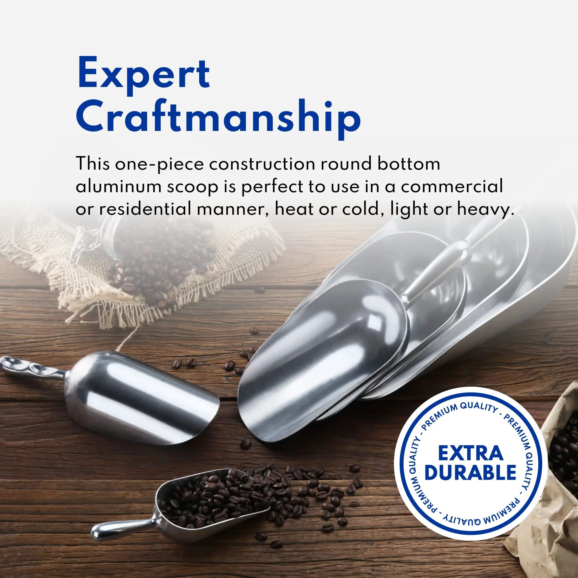 Goodinary® Stainless Steel Ice Scoop Goodinary